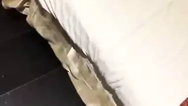 Wife gets fuck by a bull before her husband in xxx viral MMS